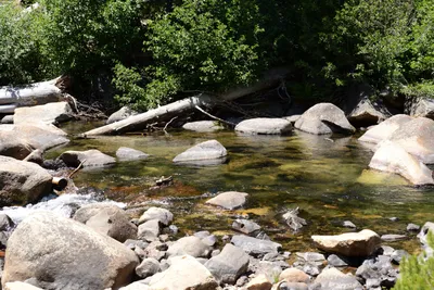 DSC_3688 (Large).JPG